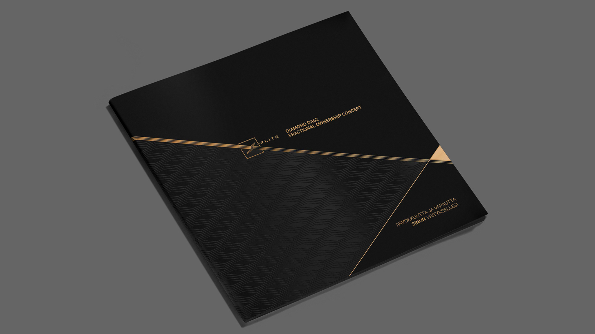 X-Flite Ownership Concept