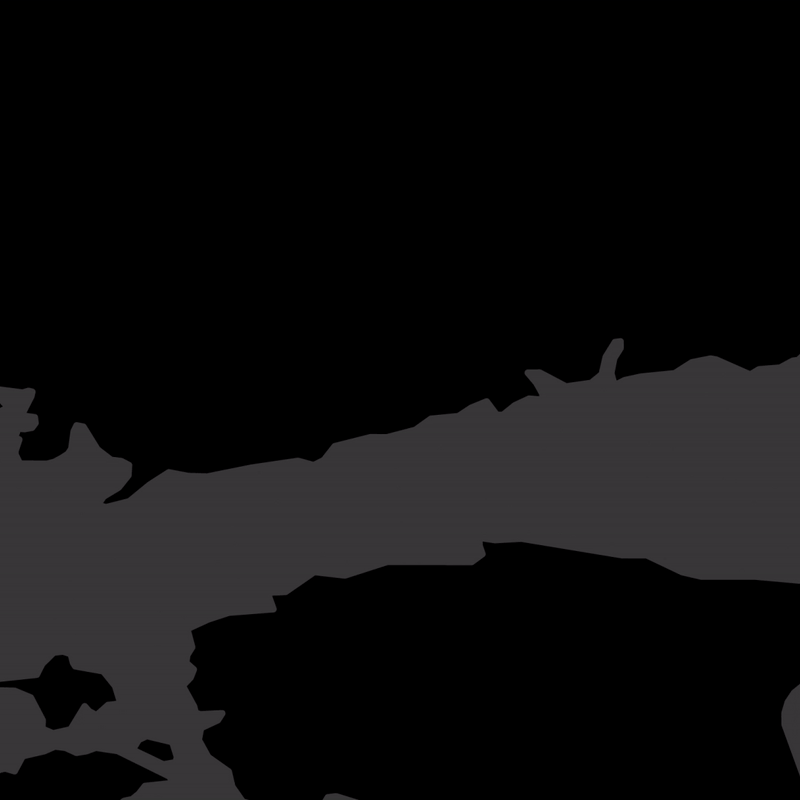 X-Flite Logo Animation